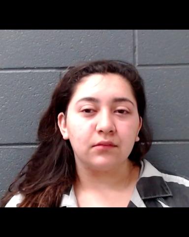 ELIZALDE, DOLORES CASTRO booking photo