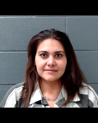 PEREZ, YVETTE SUSAN booking photo