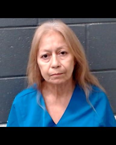 YOUNG, SANDRA LEE booking photo