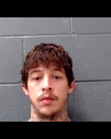 TREVINO, FRANCISCO III booking photo