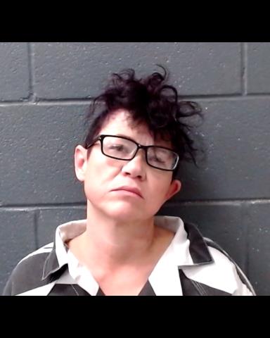 PENA, CRISTINA ANN booking photo