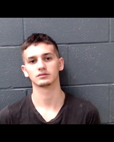 JOHNSON, DEREK LARS booking photo