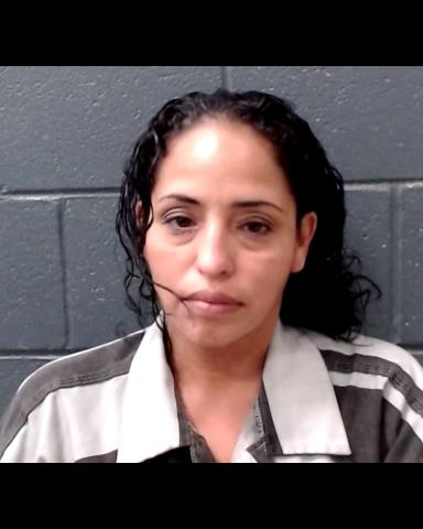 LOPEZ, SANDRA booking photo