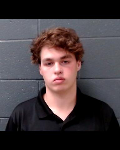 DEVILBISS, DAKOTA DAVID booking photo