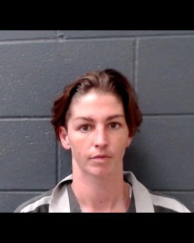 WOODLING, SARA ANN booking photo