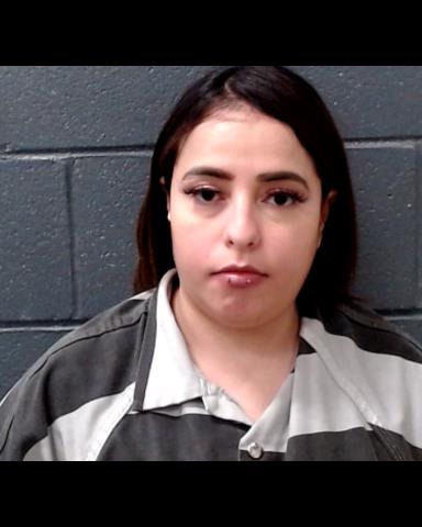 VELA, ANGELICA MARIE booking photo