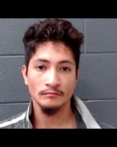 YOUNG, ROBERT, Jr. booking photo