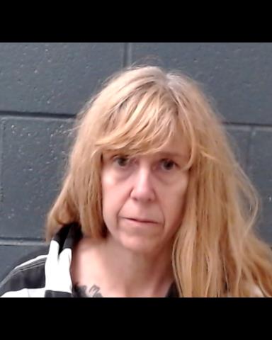 JOHNSON, MARYA DEANN booking photo