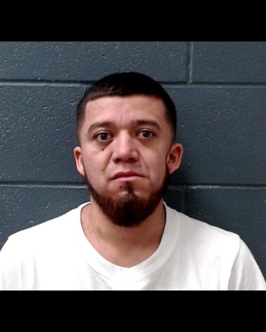 PENA-VILLEDA, SERGIO ADAHIL booking photo