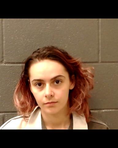 WAITSCHIES, ERIN RAY booking photo