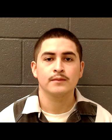 SUAREZ-AVILA, GUILLERMO booking photo