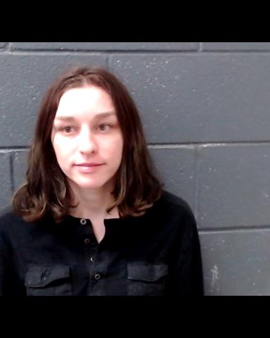 HODGES, MADISON ANNETTE booking photo