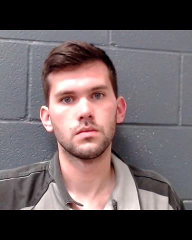 POLI, TANNER ROBERT booking photo