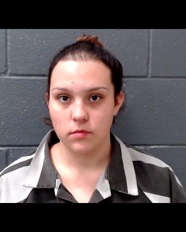 COLEMAN-SOLIS, DANA MARIE booking photo