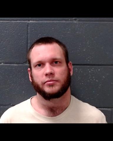 TIBBENS, LANE AUSTIN booking photo