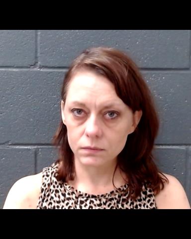 TRAVIS, LESLIE CHRISTINE booking photo