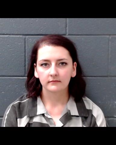 DILLINGER, LINDSEY RENEE booking photo