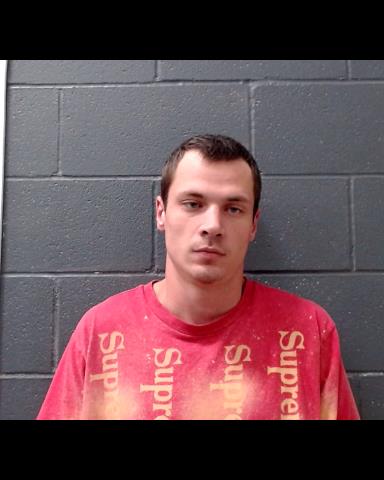 RICHARDS, BRANDON RAY booking photo