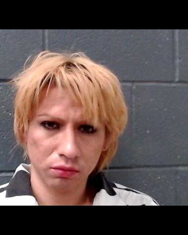 DIAZ, NDEMERICH YOSHI booking photo