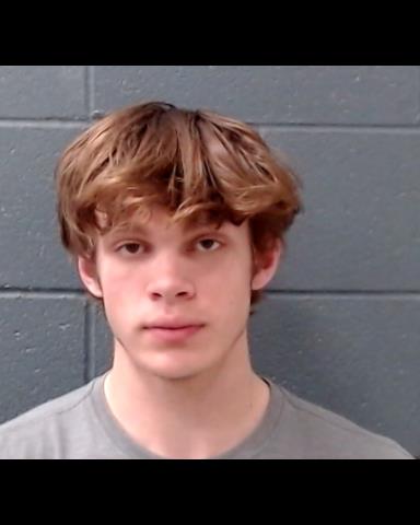 JONES, LAYTON COLE booking photo