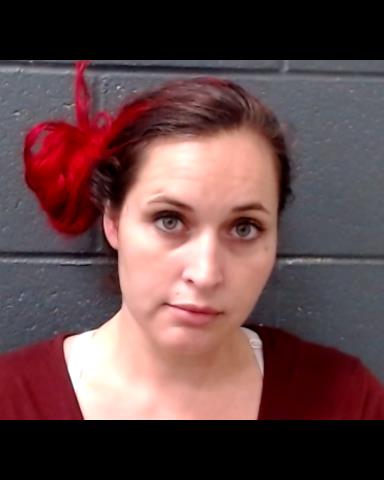 ORTIZ, LESLIE NICOLE booking photo