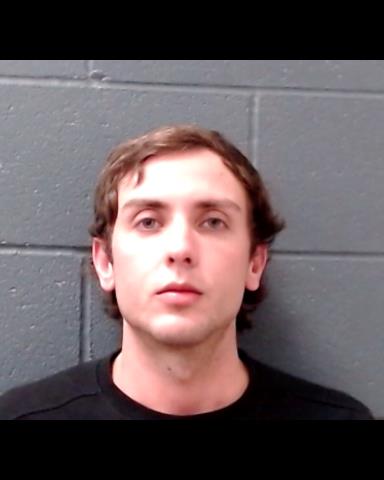 WALKER, AARON BLAYNE booking photo
