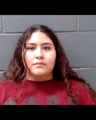 CORTEZ -GARCIA, PETRA ESMERALDA booking photo