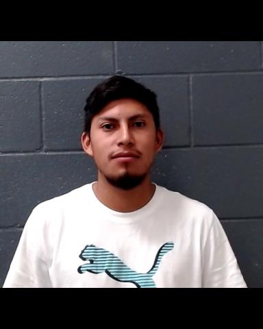 RAMIREZ-PESINA, ALFONSO booking photo