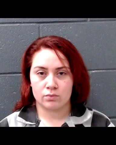 SANCHEZ, ROXANA booking photo