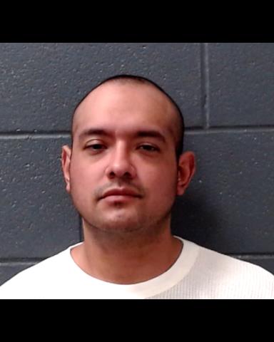 CASTILLEJA, JAVIER RENE, Jr. booking photo