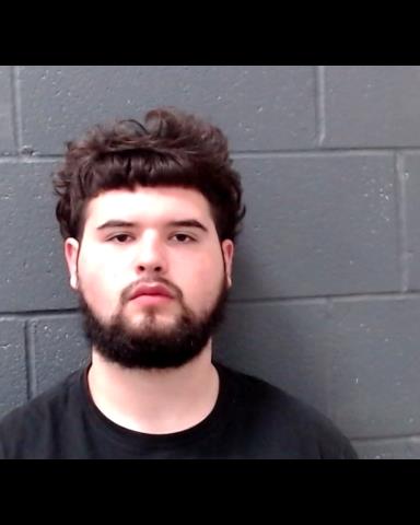 STEWART, MASON REIGN booking photo