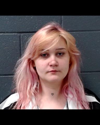 MILLIKIN, KELLY ERIN booking photo