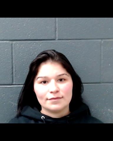 BRICENO, THEADOSIA SUSAN booking photo