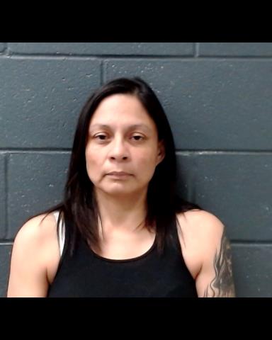 VILLALOBOS, MARIANA V booking photo