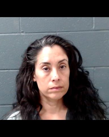 VON SCHRILTZ, PAMELA A booking photo