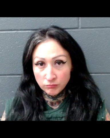 TREVINO, VICTORIA NICOLE booking photo