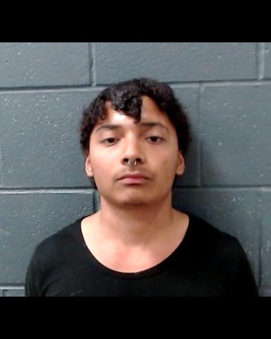 ALVARADO, EIAN DEZERIN booking photo