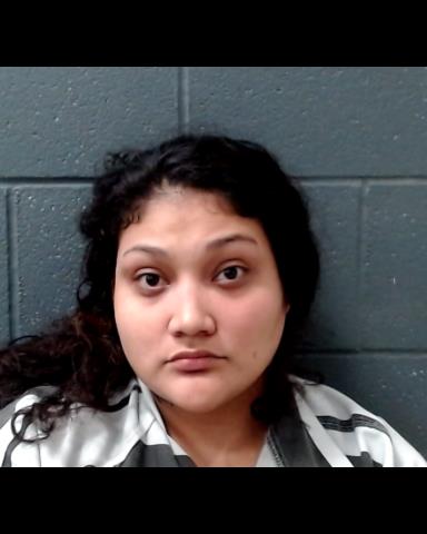 SANCHEZ, ROXANNE booking photo