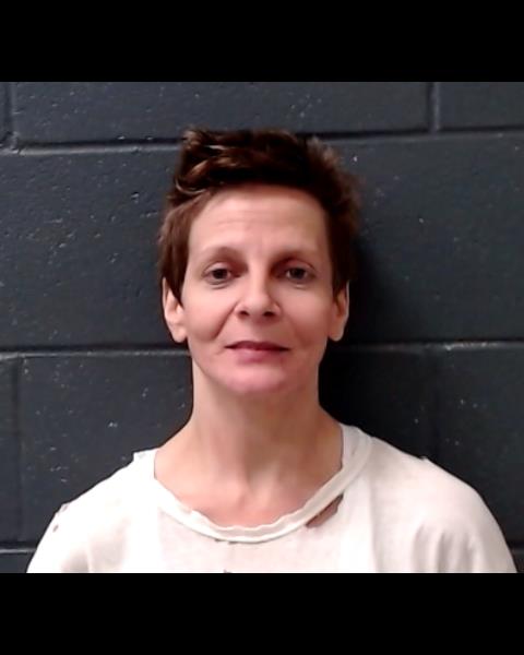 ANDERSON, RHONDA LOU booking photo