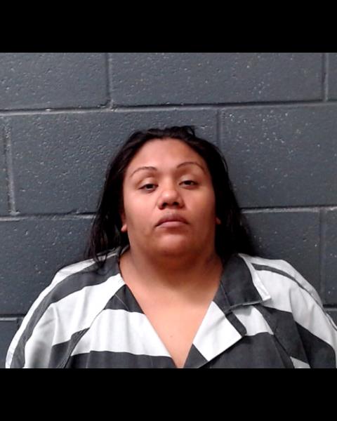 LLANAS, ERIKA booking photo