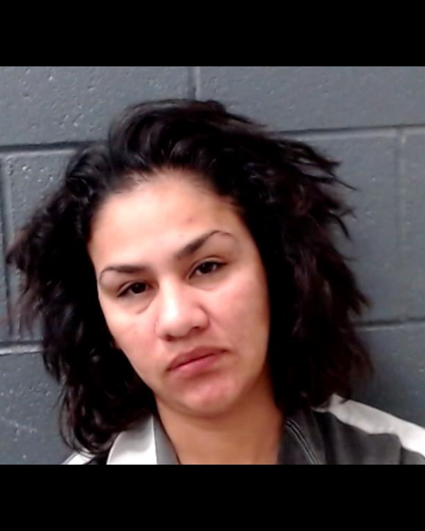 RODRIGUEZ, PETRA ISABEL booking photo