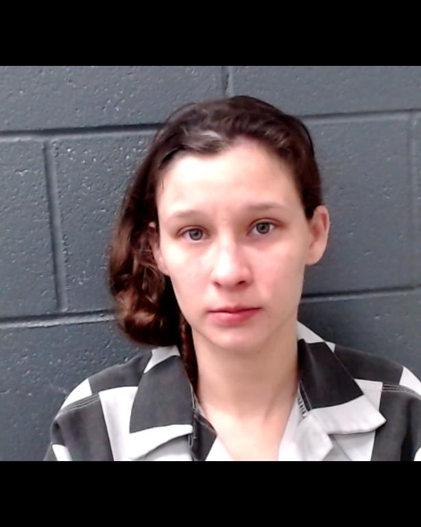 LEASCHER, CORAL DALE booking photo