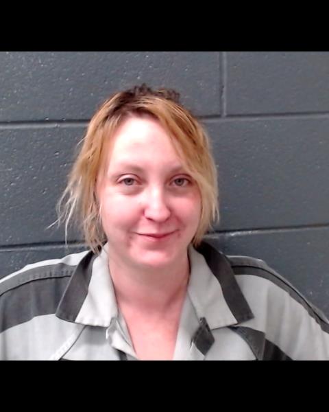 WILSON, ALYSSA ERIN booking photo