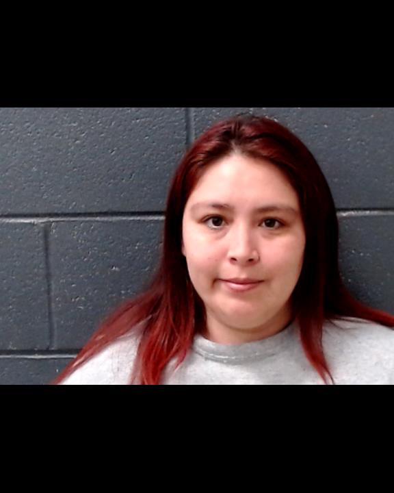 DAVILA, NICHOLE MARIE booking photo