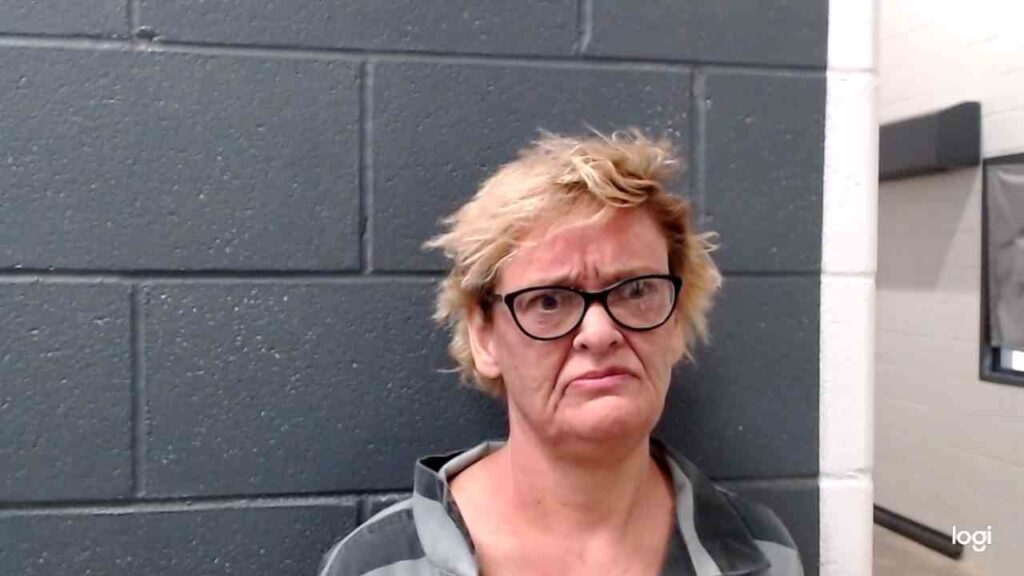 COWELL, TINA DANNENE arrested in Comal County, Texas mugshot