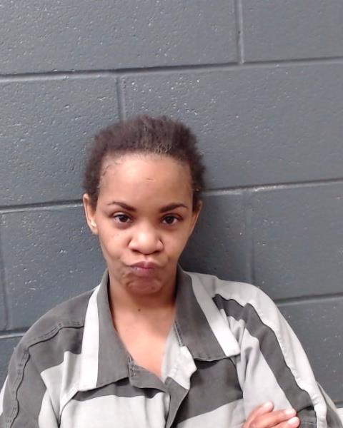 MEYER, BRITTNEY DOMINIC booking photo