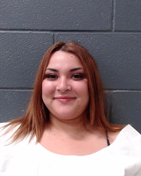 BRISENO, CASSANDRA LYNN booking photo