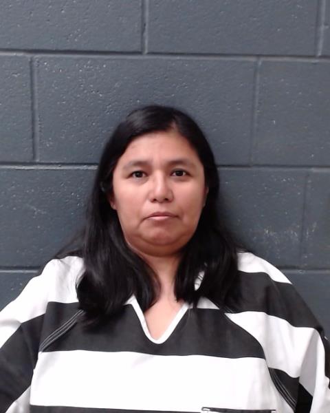 GARCIA, CINDY arrested by Comal County SO/PD