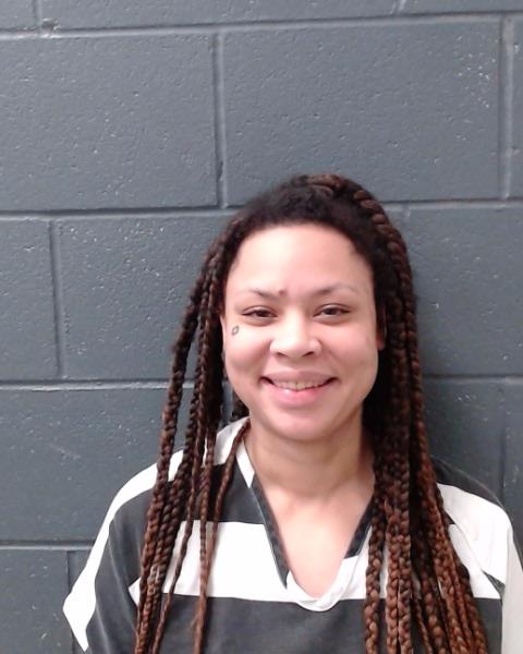 SMITH, BREANA NICOLE arrested by Comal County SO/PD