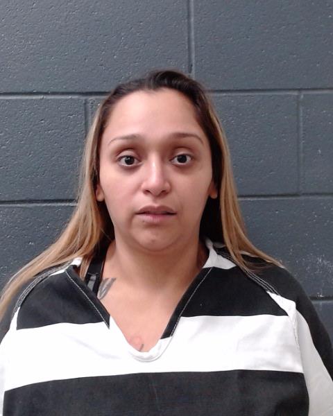 VILLARREAL, ARMANDA MERCEDES arrested by Comal County SO/PD